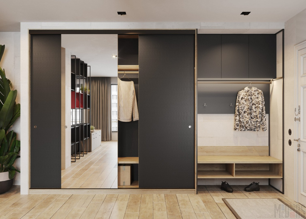 Шкаф-купе в прихожую «Парис»